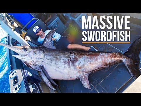 Greatest Swordfish Fishing in the World