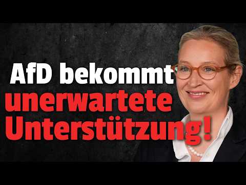 💥AfD Einstufung auf der Kippe: Bundesländer drohen mit Blockade
