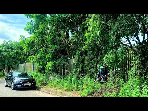 SINGLE MOM shocked the OVERGROWN grass around fence house over 4000 SQUARE meters we helped for FREE