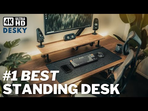 Which is the #1 BEST Standing Desk Money Can Buy? FlexiSpot vs Desky Review