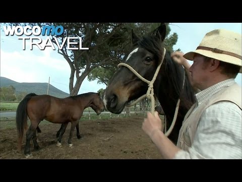 Die letzten Cowboys der Toskana (360° - GEO Reportage)