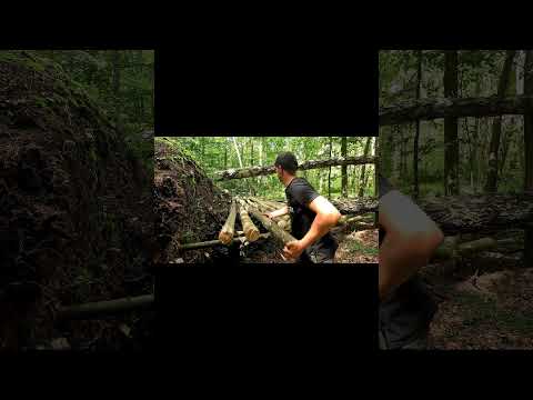 A Secret Hideout Deep in the Forest. Part 1