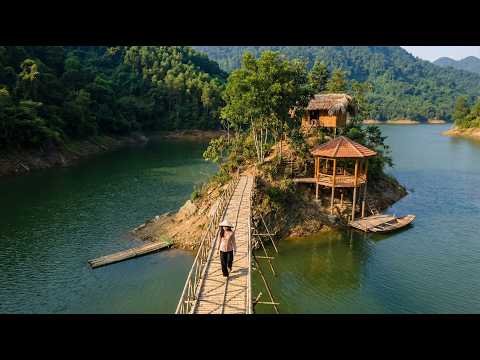 Young Woman Builds a Wooden Home on a Deserted Island in 200 Days