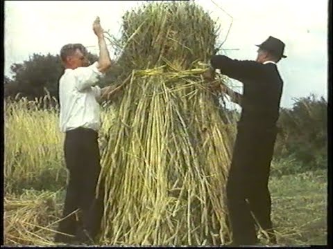 The Way I Remember It - Traditional Irish Life