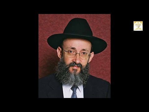 Рав Ашер Кушнир - Случайное и намеренное