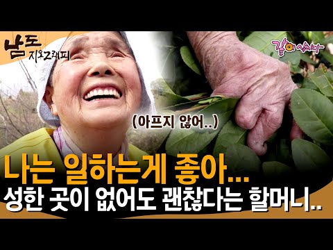 [남도지오그래피] 성치 않은 몸에도 일하는 게 좋다며, 매일 800평 논으로 출근하는 할머니😢ㅣKBS 2019.04.25