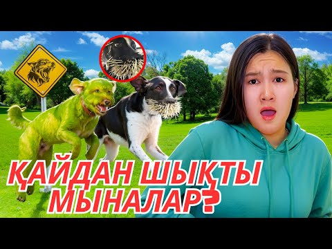 БІРТҮРЛІ ЖАНУАРЛАР!!!