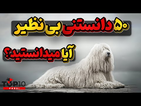 آیا میدانستید؟ 50 دانستنی جالب و بی نظیر