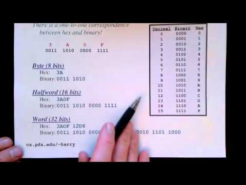 Lecture 3/12: Bits, Bytes and Words