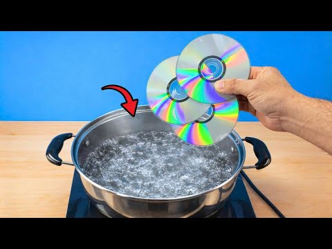 Never Throw Away Old CDs! Try This Trick and Watch What Happens ๐ฒ