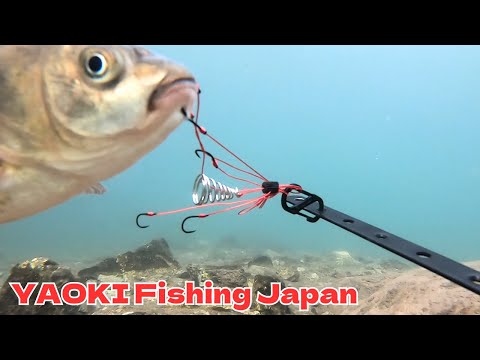 【水中映像】吸い込み仕掛けにかかる魚の様子を完全収録