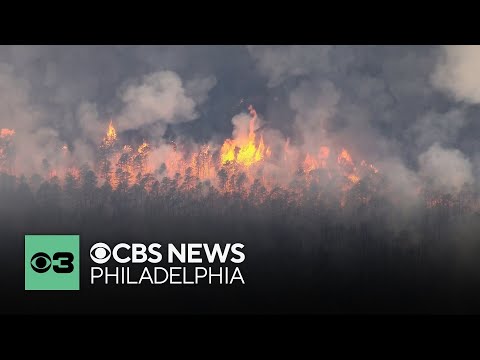 Jones Road Wildfire could be largest in New Jersey history, fire officials say