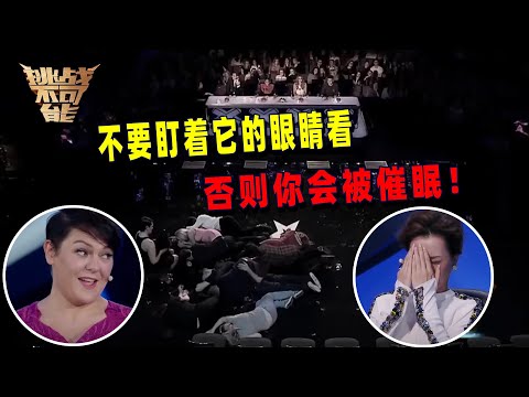 失眠人士狂喜：睡不着？盯着它眼睛看 秒睡！| 挑战不可能 Impossible Challenge