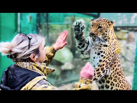 ЭТО НУЖНО ВИДЕТЬ! На волшебный голос Татьяны Ивановны бегут все питомцы зоопарка «СКАЗКА»!