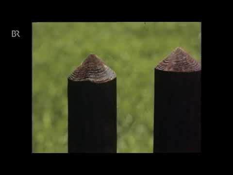 Topographie: Bauen und Bewahren - Der Zaun (1981)