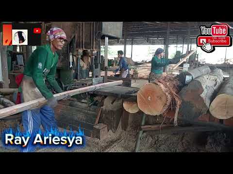 Size 4×5 Kayu Baik Punya 👍🫶♥️#RAYARIESYA 