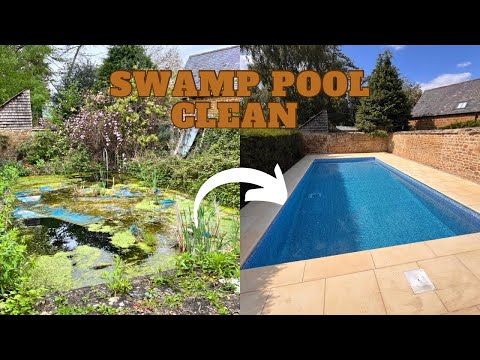 FULL TRANSFORMATION OF THE SWAMP POOL