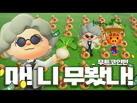 무트코인으로 성공하고싶어..?ㅣ모동숲 꿀팁ㅣACNH