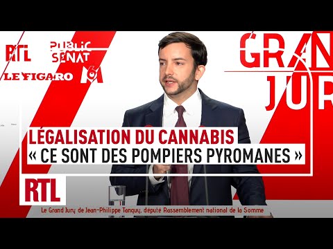 Jean-Philippe Tanguy guest on RTL's Le Grand Jury