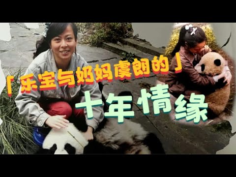 乐宝和饲养员虞朗的故事:园欣半岁时的虞奶妈,十年间的分分合合,一人一熊的真挚情感