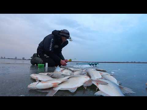 ВО НАТАСКАЛ, НА ВСЕХ КРЮЧКАХ. БОРА С ТАРЕЛКУ. Лучшая приманка. Зимняя рыбалка на крупную густеру.