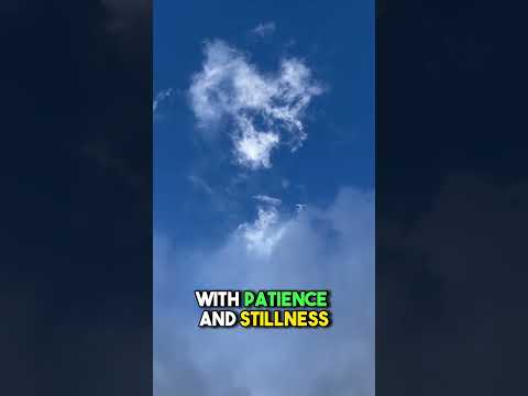 A Buddhist saying you may need to hear today ⛅