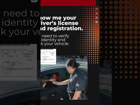 🚚 10 LAW ENFORCEMENT INSTRUCTIONS Every TRUCK DRIVER Needs to Understand