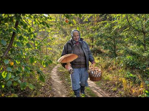 LONELY Grandma & Son in CARPATHIAN Village. Mushroom picking. Hard Mountain Life. Ancient Traditions