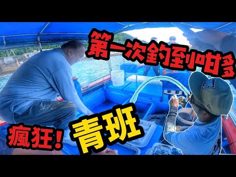 一天釣上過百條石班😱合適釣具就可爆釣😁釣到冇哂魚餌#香港釣魚 #fishing #至尊迷你倉 