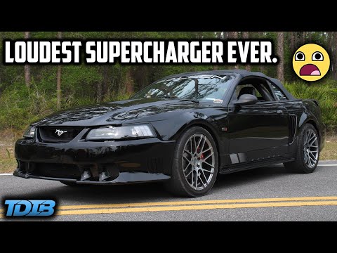 The Saleen S281 Mustang Was a Terminator Cobra Knockoff
