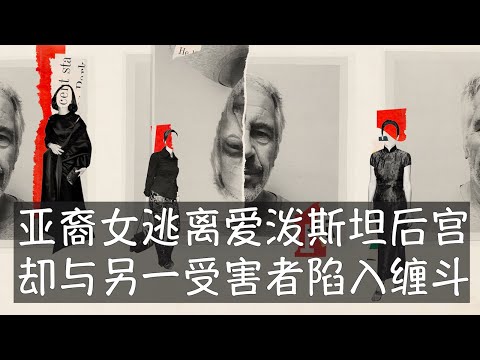 吴丽娜是爱泼斯坦数以百计的受害者中唯一公开身份的亚裔，她21岁接受了念艺术学院的奖学金、曼哈顿公寓和创作室等条件，成为性虐待的受害者一年多。她也介绍过3位女性进入“后宫”，成为角色复杂的招募者。