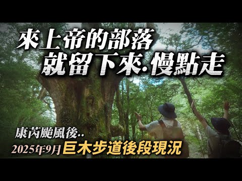 EP73【國旅】司馬庫斯請安排兩天一夜｜我的天..巨木步道變這樣..｜上帝的部落