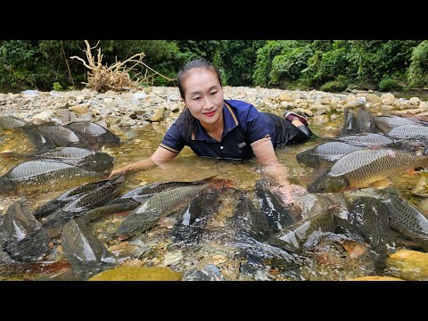How to catch fish, trap giant river fish and taking them to the market to sell - Ly Thi Tam