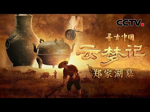 考古队挖出千年不腐的饱水墓，一颗墓主人牙齿揭示2000多年前的秦朝人口大迁徙《云梦记·郑家湖墓》| CCTV「寻古中国」20230914