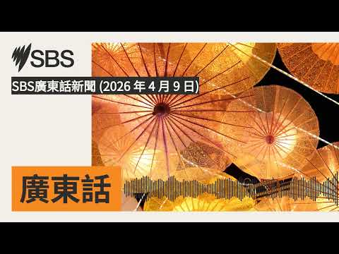 SBS廣東話新聞 (2026 年 4 月 9 日) | SBS Cantonese - SBS廣東話節目