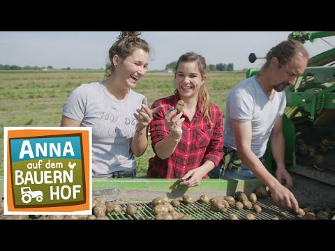 Ernte gut, alles gut | Anna auf dem Bauernhof | #5