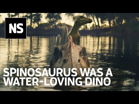 Dinosaur's water-loving nature brought to life in BBC show