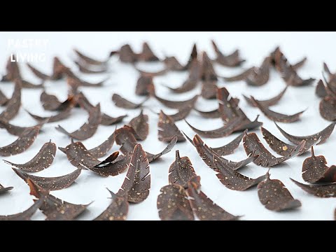 How To Make Chocolate Feathers (And How To Temper Chocolate)