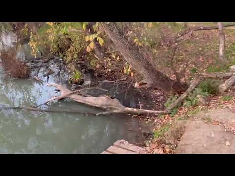 Парк Солнечный Остров - Краснодар. Красивая прогулка. Атмосфера. 25.11.25.