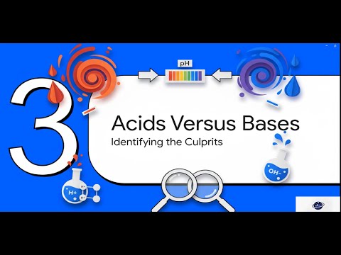 Acids and bases | Little facts with Honey