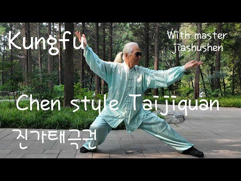 (kungfu) Chen style Taijiquan (master jiashushen) 진가태극권 (가수선노사님) ver 2