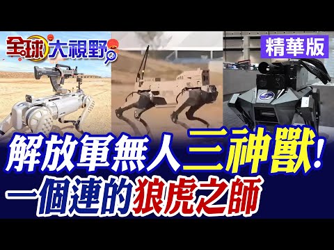 中國打造AI部隊!解放軍國產"機器狗.機器狼.機器虎"全出籠 察打運一體!一個連的"狼虎之師"置生死於度外 改變未來戰爭?|【全球大視野】精華版 @全球大視野Global_Vision