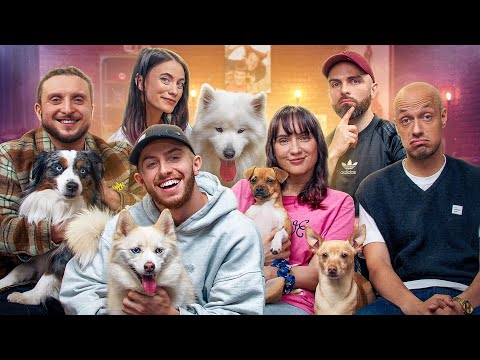 Les rencontrent de chiens feat Tony, Maghla, Sefy, Natoo et Michou
