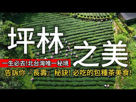 北部唯一❗茶香桃花源秘境❗不只有「包種茶」做成的美食，還意外發現『延年益壽』的秘訣❗｜坪林❌新北｜TAIWAN｜