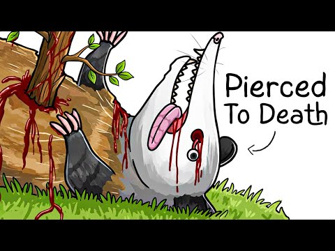 Why it Sucks To Be Born As an Opossum