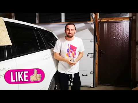 Замена ТЕРМОРЕГУЛЯТОРА как сделать, ЦЫПЛЯТА и УТЯТА