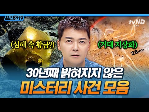 [#프리한19] 하루아침에 생긴 28km짜리 그림❓ 강산이 세 번 바뀔 동안 풀리지 않은 세계 미스테리🔎