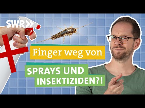 Silberfische: Schnell und effektiv bekämpfen und loswerden I Ökochecker SWR