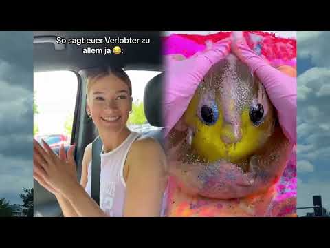 🤣👌👌👌2025 pov Must-Watch Crazy Clips Compilation #humor #fypシ #pov #fyp #foryou 😍😜