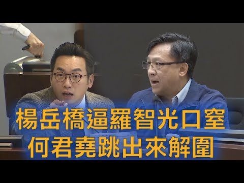 楊岳橋逼得羅智光口窒窒 何君堯跳出來出頭惹得陳淑莊大笑（罕有視頻）